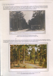 belorussian-landscape-in-the-heart-of-ivan-shishkin-13