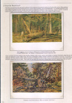 belorussian-landscape-in-the-heart-of-ivan-shishkin-14
