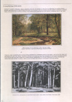 belorussian-landscape-in-the-heart-of-ivan-shishkin-15