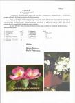 flora-cvece-i-bilje-01