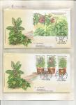 flora-cvece-i-bilje-07