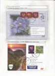 flora-cvece-i-bilje-14