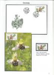 flora-of-the-czech-republic-and-slovakia-06