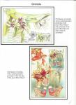 flora-of-the-czech-republic-and-slovakia-08
