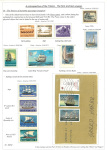 Mako-Alqi-Kozeta-Mako-A-retrospective-of-the-Titanic-The-first-and-last-voyage-003