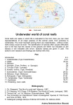 Stekolshchikov-Andrey-Underwater-world-of-coral-reffs-1-001