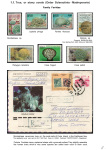 Stekolshchikov-Andrey-Underwater-world-of-coral-reffs-1-008