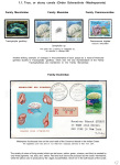 Stekolshchikov-Andrey-Underwater-world-of-coral-reffs-1-012