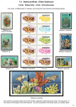Stekolshchikov-Andrey-Underwater-world-of-coral-reffs-2-002