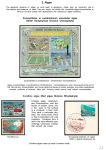 Stekolshchikov-Andrey-Underwater-world-of-coral-reffs-2-006