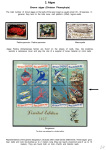 Stekolshchikov-Andrey-Underwater-world-of-coral-reffs-2-008