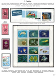 Stekolshchikov-Andrey-Underwater-world-of-coral-reffs-2-009