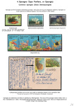 Stekolshchikov-Andrey-Underwater-world-of-coral-reffs-2-010