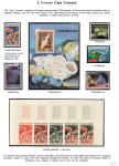 Stekolshchikov-Andrey-Underwater-world-of-coral-reffs-2-011