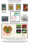 Stekolshchikov-Andrey-Underwater-world-of-coral-reffs-3-013