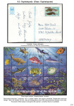 Stekolshchikov-Andrey-Underwater-world-of-coral-reffs-3-014