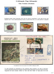Stekolshchikov-Andrey-Underwater-world-of-coral-reffs-3-015