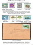 Stekolshchikov-Andrey-Underwater-world-of-coral-reffs-5-001