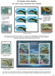 Stekolshchikov-Andrey-Underwater-world-of-coral-reffs-5-002