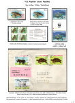 Stekolshchikov-Andrey-Underwater-world-of-coral-reffs-5-004