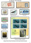 Stekolshchikov-Andrey-Underwater-world-of-coral-reffs-5-005