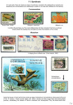 Stekolshchikov-Andrey-Underwater-world-of-coral-reffs-5-006