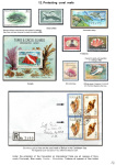 Stekolshchikov-Andrey-Underwater-world-of-coral-reffs-5-012