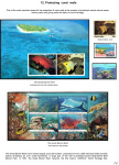 Stekolshchikov-Andrey-Underwater-world-of-coral-reffs-5-014
