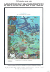 Stekolshchikov-Andrey-Underwater-world-of-coral-reffs-5-016