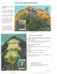 Fahredin-Kastrati-Plants-the-Most-Beautiful-Poetry-of-Nature-002