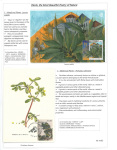 Fahredin-Kastrati-Plants-the-Most-Beautiful-Poetry-of-Nature-003