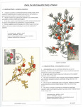 Fahredin-Kastrati-Plants-the-Most-Beautiful-Poetry-of-Nature-004