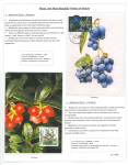 Fahredin-Kastrati-Plants-the-Most-Beautiful-Poetry-of-Nature-005