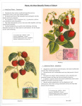 Fahredin-Kastrati-Plants-the-Most-Beautiful-Poetry-of-Nature-006