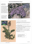 Fahredin-Kastrati-Plants-the-Most-Beautiful-Poetry-of-Nature-008