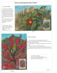 Fahredin-Kastrati-Plants-the-Most-Beautiful-Poetry-of-Nature-012