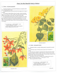 Fahredin-Kastrati-Plants-the-Most-Beautiful-Poetry-of-Nature-016