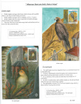 Fahredin-Kastrati-Wherever-there-are-birds-there-is-hope-002