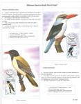 Fahredin-Kastrati-Wherever-there-are-birds-there-is-hope-005