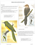 Fahredin-Kastrati-Wherever-there-are-birds-there-is-hope-008
