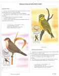 Fahredin-Kastrati-Wherever-there-are-birds-there-is-hope-009