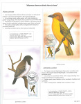Fahredin-Kastrati-Wherever-there-are-birds-there-is-hope-012