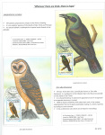 Fahredin-Kastrati-Wherever-there-are-birds-there-is-hope-013