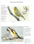 Fahredin-Kastrati-Wherever-there-are-birds-there-is-hope-014