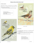 Fahredin-Kastrati-Wherever-there-are-birds-there-is-hope-015
