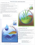 Mako-Alqi-Kozeta-Mako-Make-the-environment-green-breathe-clean-air-002