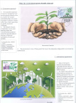 Mako-Alqi-Kozeta-Mako-Make-the-environment-green-breathe-clean-air-009