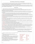 Mako-Alqi-Kozeta-Mako-Personalities-of-Ancient-Greece-in-Maximaphily-001