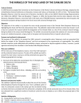 New Document.pdf