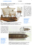 Cartolina Marianna 1